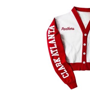 Clark Atlanta University Varsity Pullover Panthers Logo Invierno Poliéster/Algodón Personalizado Unisex Bulk School Spirit Apparel - Product Image 3