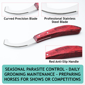 High Quality Sharp Precision Scraping Edge <b>Knife</b> Veterinary Bot Egg Removal <b>Knife</b> Stainless Manual Bot Egg <b>Knife</b> Wooden Handle - Product Image 5