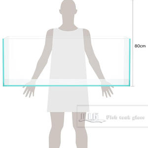 Ulianglas Gallon Frameloze Lage Ijzeren Aquarium Hd Transparant Ultra Wit 45 ° Afgeschuinde Rand Doorschijnend Glas Yl Serie Aquarium - Product Image 5