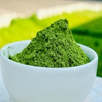Poudre de feuilles de Moringa sauvage 100% pure, végétalienne et sans gluten, qualité alimentaire, en vrac, conditionnement en bocal Mason et en fût, emballée sous vide
