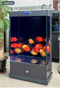 ตู้ปลาทรงสี่เหลี่ยมขนาดใหญ่ Petop 240L-480L หน้าจออัจฉริยะ ระบบกรองเสียงเงียบพิเศษ สำหรับปลาทอง ตกแต่งบ้าน ห้องนั่งเล่น - Product Image 5