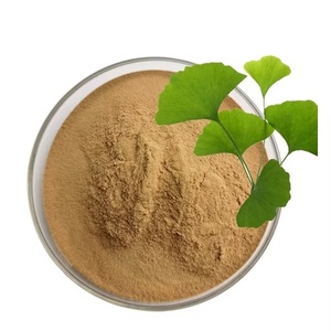 Thực phẩm cấp <span class=keywords><strong>Ginkgo</strong></span> <span class=keywords><strong>Biloba</strong></span> lá chiết xuất 10:1 20:1 thảo dược bổ sung <span class=keywords><strong>Ginkgo</strong></span> <span class=keywords><strong>Biloba</strong></span> chiết xuất <span class=keywords><strong>Ginkgo</strong></span> lá chiết xuất bột - Product Image 3