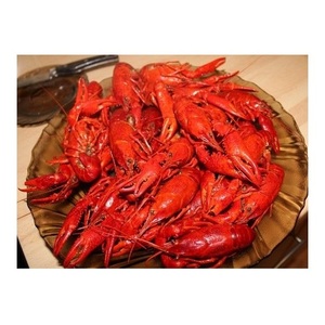 Homard entier surgelé au prix de gros Achetez aujourd'hui et profitez d'une livraison rapide pour des fruits de mer frais et délicieux - Product Image 5