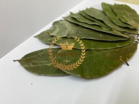 Export Standaard Vietnam Gedroogde Zuurzak Blad-Gedroogde Graviola Fruit Laat De Beste Kwaliteit Te Koop Bij Takimex Leverancier