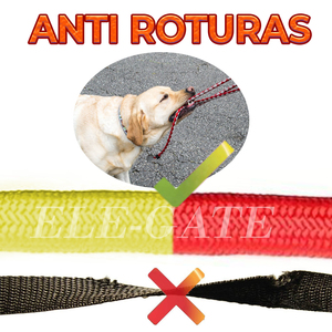 Collier-laisse rembourré anti-traction en nylon pour petits chiens, à libération rapide, rayé, pour la promenade et l'entraînement, tailles 3m et 5m, en PVC durable - Product Image 5