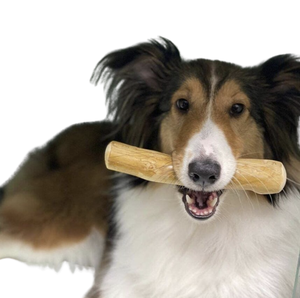 Juguete Masticable de Madera de Café No Tóxico para Perros para Uso Diario - Product Image 3