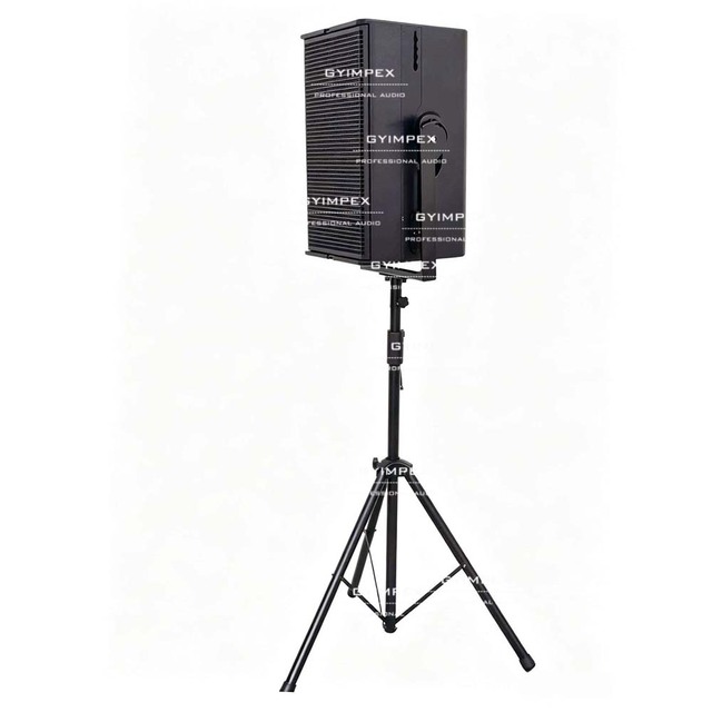 High efficiency Professional Audio Speaker Dual 12 Inch Loudspeaker With Excellent Speech Intelligibility And Musicality