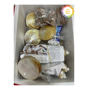 Cuillère en nacre polie du Vietnam Design élégant pour le service de table et l'affichage décoratif - Product Image 5