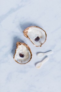 Placa de concha marina de perlas para madre, juego de platos de fruta de mesa, respetuosos con el medio ambiente, vajilla, embalaje personalizado de proveedor de Vietnam - Product Image 5