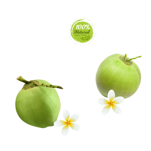 ผลิตภัณฑ์เพิ่มความชุ่มชื้นจากธรรมชาติมะพร้าวสดจากเวียดนามจากผลิตภัณฑ์ทางการเกษตร - Product Image 6