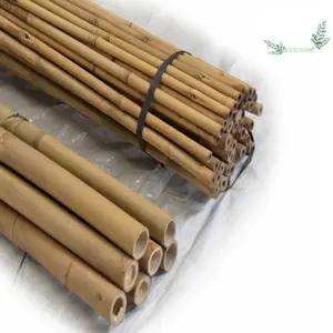 越南建筑用最畅销的原材料彩色和生竹竿围栏从Eco2go越南的竹子好价格