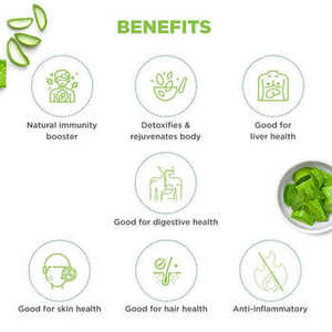 Jugo de Aloe Vera Herbal Dabur 1 L, Bebida Natural para la Salud que Apoya la Digestión, la Inmunidad y el Bienestar Diario - Product Image 2