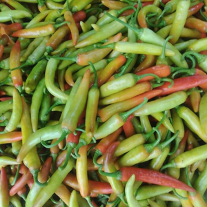 พริกตานกซัพพลายเออร์มืออาชีพในเวียดนามด้วยราคาที่แข่งขันได้ - Product Image 2