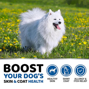 Gubeyka Natural Dog <span class=keywords><strong>Company</strong></span> Formule d'huile de saumon d'Alaska sauvage Complément liquide pour chiens - Product Image 5