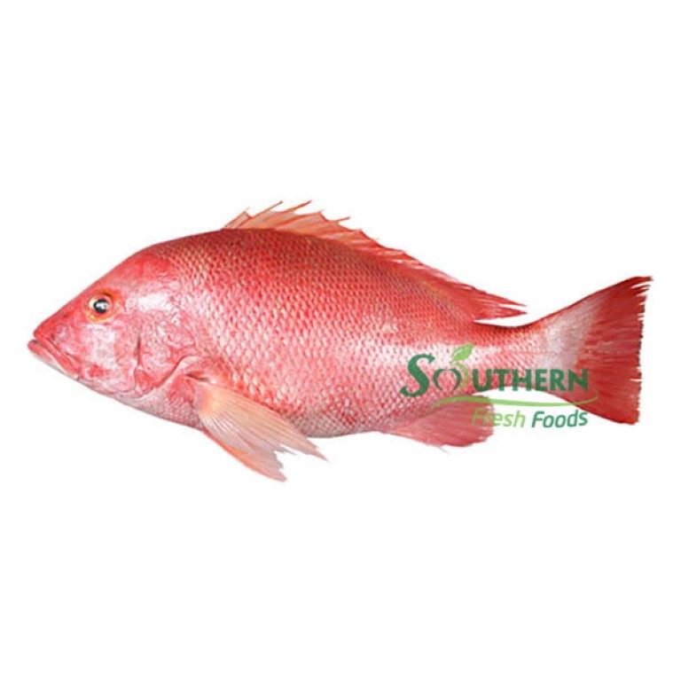 Frozen Red Snapper - Premium Quality from Austria
