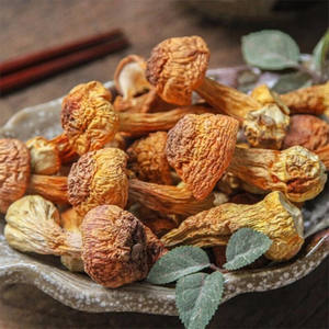 Tranches de champignons Agaricus Blazei Murrill séchés par le fabricant, faibles en calories - Product Image 1