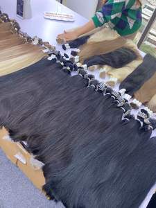 Meilleure vente Extensions de cheveux en bande 100% cheveux humains naturels pour les femmes noires de cheveux humains vietnamiens - Product Image 5