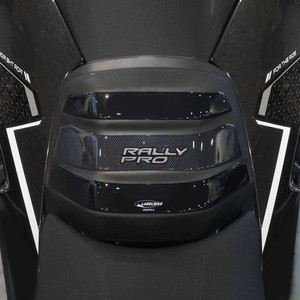 Adesivo Logo Personalizzato per Serbatoio Basso Compatibile con Triumph Tiger 900 RALLY PRO Moto - Product Image 1