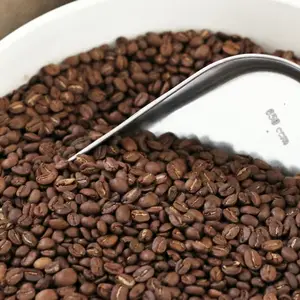 수출 커피 콩 도매 커피 녹색 콩