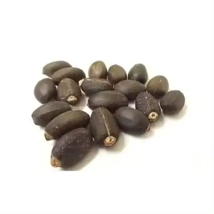 Semences de jatropha de qualité supérieure pour la production de biocarburants et l'approvisionnement en vrac agricole provenant d'un exportateur de confiance sans OGM - Product Image 3