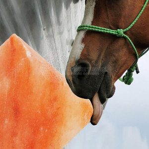 Briques et carreaux de sel de l'Himalaya sculptés de haute qualité Meilleure vente de sel naturel de l'Himalaya pour une santé optimale - Product Image 4
