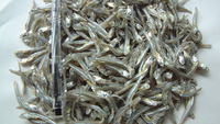 VENTE FLASH Poisson séché au lotus bleu 2025 Poisson séché propre pour restaurant et restauration