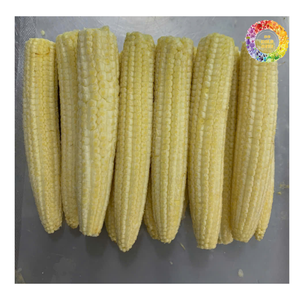 Maíz dulce congelado IQF, maíz amarillo y blanco congelado, maíz prehervido congelado, maíz bebé congelado con embalaje personalizado - Product Image 2