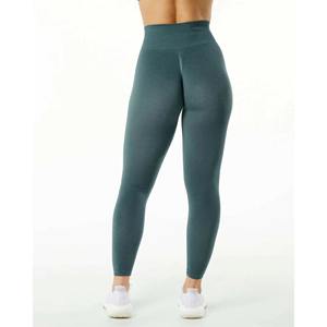Mallas deportivas de alta calidad, mallas de Yoga de nuevo estilo con cierre de cintura elástica, pantalones de Fitness de moda para niñas, Spandex/nailon - Product Image 6