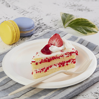 Assiettes robustes en bagasse écologiques SHYAMA ENTERPRISES de qualité supérieure pour fêtes, événements professionnels, pique-niques - Fabriquées en Inde