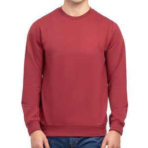 Sweat-shirts pour hommes en molleton 100% coton, imprimés avec logo personnalisé, écologiques, respirants, de qualité supérieure, nouveau style, automne - Product Image 3