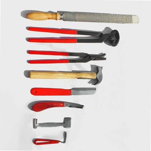 Kit de Herramientas de Herrador de Acero Inoxidable Duradero, Juego de 8 Instrumentos Veterinarios, Diseño Personalizado Disponible - Product Image 6