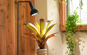 Meilleure qualité NEO Grow 20W lampe à LED haute qualité Tsukuyomi Black Edition lampadaires pour l'éclairage des plantes d'intérieur - Product Image 2