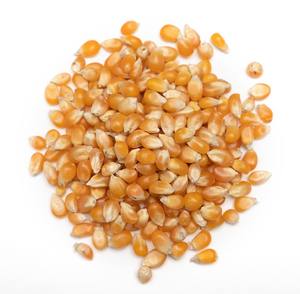 Granos de Maíz Secos AD de Alta Calidad, No Glutinosos, Blancos y Amarillos, 25 kg, para Alimentación Animal y Consumo Humano - Product Image 6