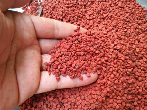 Noix d'annatto de haute qualité, noix de roucou, noix d'achiote, qualité supérieure, noix d'annatto du Vietnam - Product Image 2