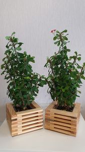 Pot de fleurs en bois souhaitant bien planteur arrière-cour jardin décor créatif jardinières en bois écorce pots de fleurs jardin - Product Image 3