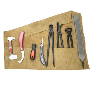 Kit de herrador portátil, juego de bolsas de herramientas de uso profesional, kit de herrador todo en uno, recorte de pezuña, kit completo de herrador de acero inoxidable - Product Image 4