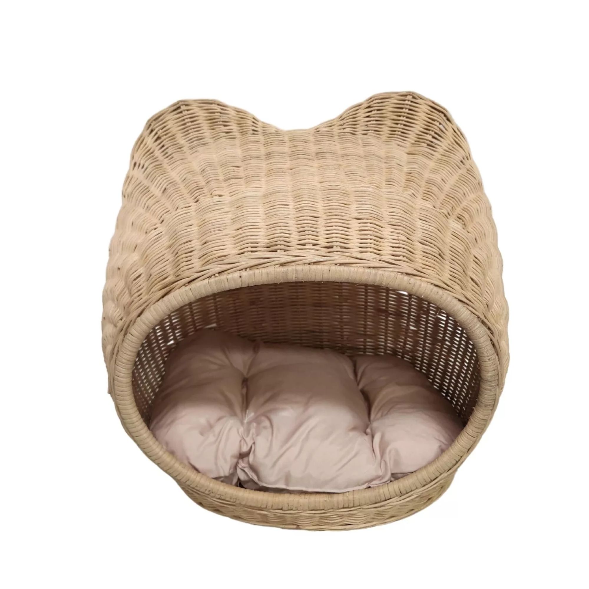 ธรรมชาติ