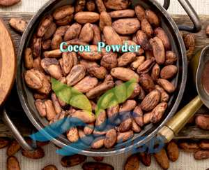 Suministro Directo de Fábrica HGO de Cacao en Polvo Puro y Natural (Theobroma cacao L.) Grado Alimenticio 5:1 10:1 20:1 Extracto en Polvo Molido - Product Image 2