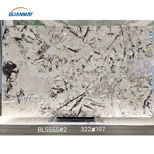 Luxe Braziliaanse Delicatus Wit Granieten Plaat Natuurlijke Backlit Sneeuw Berg Zilver Vos Graniet Voor Muur Aanrecht