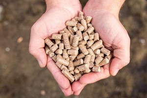 Alimento para Animales Viet Delta Holiday-Agro Waste Feed 1, Bioprocreso a partir de Bioproducciones Agrícolas - Product Image 5