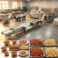 Équipement industriel automatique pour la fabrication de snacks d'arachides enrobés, pour le revêtement, la torréfaction, l'assaisonnement et la production d'arachides.