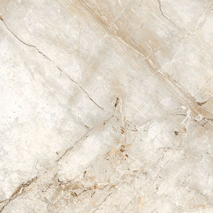 Faible absorption d'eau meilleure vente de carreaux de porcelaine imprimés numériques fabrication en Inde pour entreprise. - Product Image 2