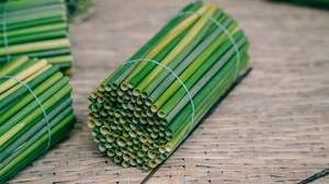 GRASS-BASED DRINKING <b>STRAW</b> / PLASTIC-FREE / CLEANLY PROCESSED - Product Image 4