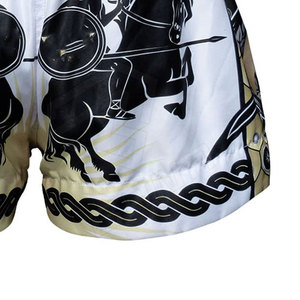 OEM Wholesale Price MMA Shorts Customized Design High Quality Men's Casual <b>Stretch</b> Boxing Wear for Adult - Product Image 6