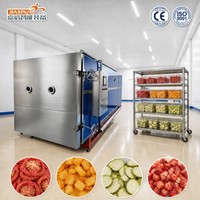 Machine de lyophilisation des légumes certifiée CE entièrement automatique pour légumes, tomates, citrouilles et courgettes