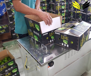 Limón Verde Fresco Sin Semillas de Vietnam, Cítrico Premium, Estándar de Exportación, Natural, Saludable, Proveedor Mayorista/ ANNA DO - Product Image 4
