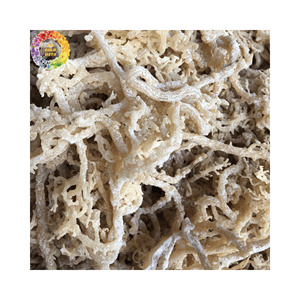 Premium Unsalted <b>Dried</b> Sea <b>Moss</b> Seaweed, Golden Irish <b>Moss</b> for Seamoss Gel, 25kg Bulk Packing, Wildcrafted Chondrus Crispus - Product Image 3
