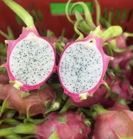 Premium Exportkwaliteit Natuurlijk Vers Drakenfruit Van Vietnam Voor Dessert-En Drankenfabrikanten