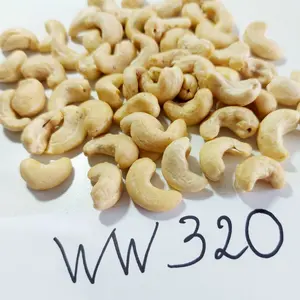Vietnam Trusted Supplier Kaju Premium Cashew Cashew Nuts From Vietnam Cashew Nuts