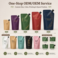 Pochette souple personnalisée en LDPE écologique avec bec verseur, 0,16 mm, étanche, pour détergent liquide et jus, support OEM ODM